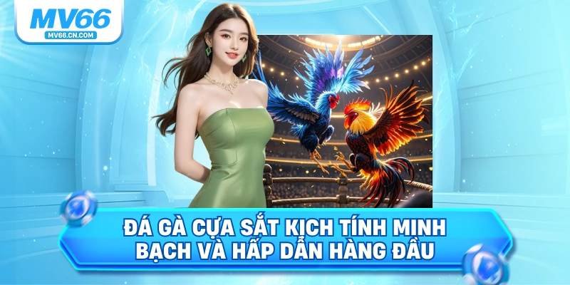 Đá gà cựa sắt kịch tính minh bạch và hấp dẫn hàng đầu