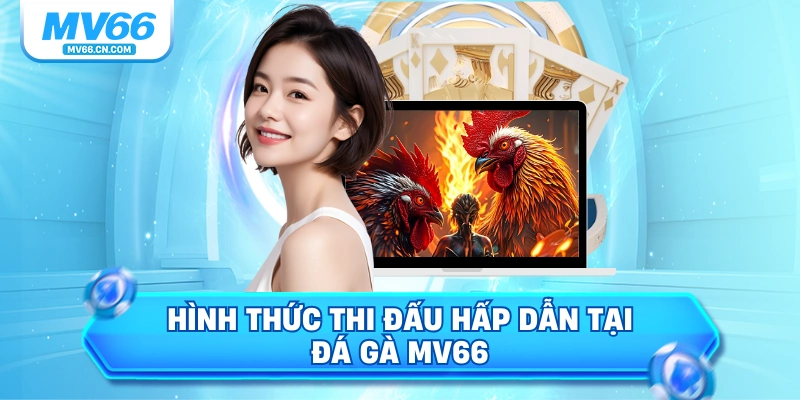 Hình thức thi đấu hấp dẫn tại đá gà MV66