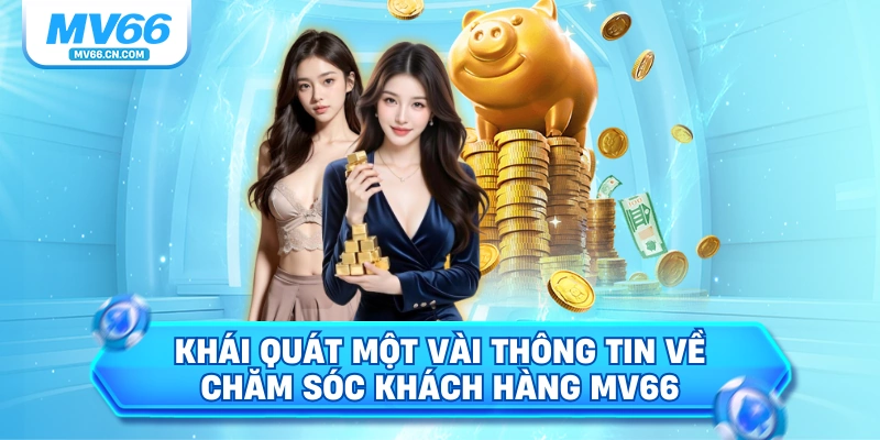Khái quát một vài thông tin về chăm sóc khách hàng MV66