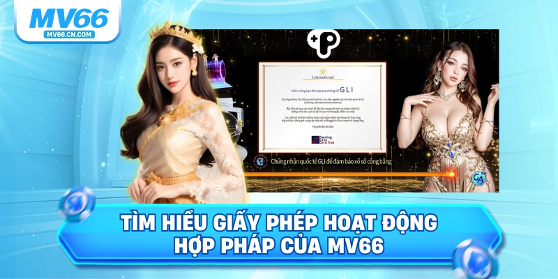 Tìm hiểu giấy phép hoạt động hợp pháp của MV66